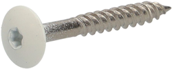 Torxschroef RVS, RAL-9001 Creme, afm. 4,8x38mm. Doos à 100 stuks, incl. bitje