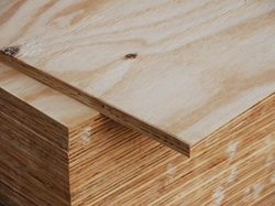 Grenen multiplex 2440x1220mm C+C 9,0 mm